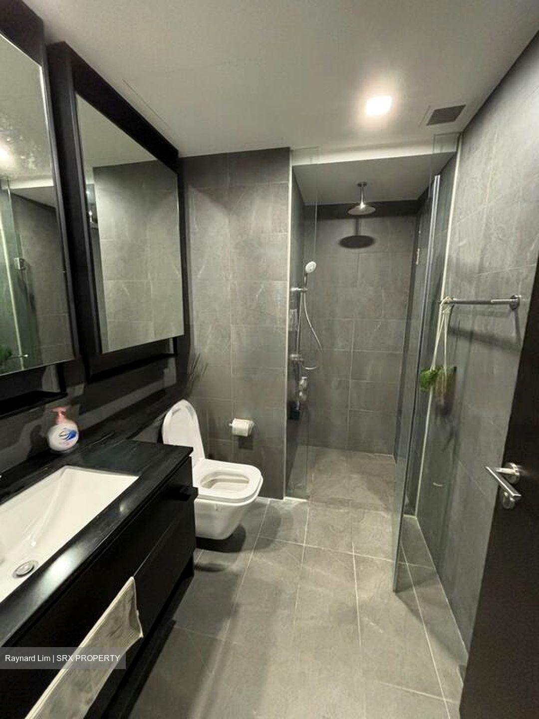 Park Colonial (D13), Condominium #466517831